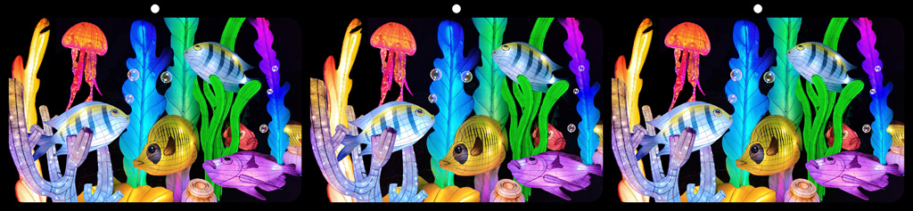 Chairman's Choice Stereo Image: Underwater